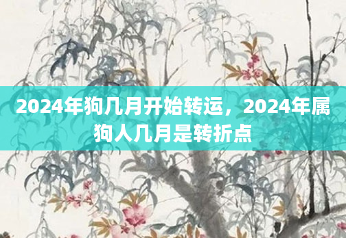 2024年狗几月开始转运，2024年属狗人几月是转折点