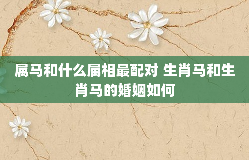 属马和什么属相最配对 生肖马和生肖马的婚姻如何