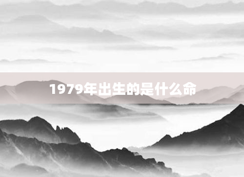 1979年出生的是什么命