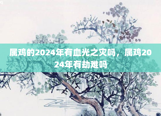 属鸡的2024年有血光之灾吗，属鸡2024年有劫难吗