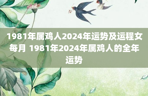 1981年属鸡人2024年运势及运程女每月 1981年2024年属鸡人的全年运势