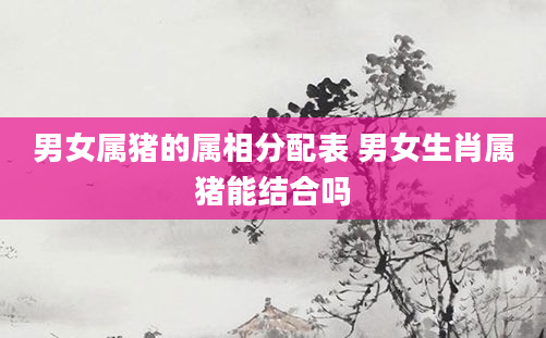 男女属猪的属相分配表 男女生肖属猪能结合吗