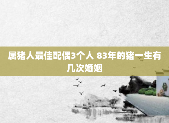 属猪人最佳配偶3个人 83年的猪一生有几次婚姻