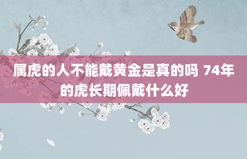 属虎的人不能戴黄金是真的吗 74年的虎长期佩戴什么好
