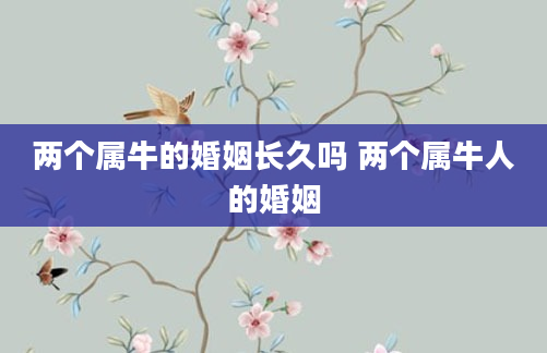 两个属牛的婚姻长久吗 两个属牛人的婚姻