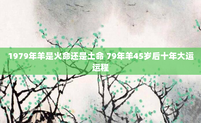 1979年羊是火命还是土命 79年羊45岁后十年大运运程