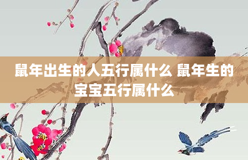 鼠年出生的人五行属什么 鼠年生的宝宝五行属什么
