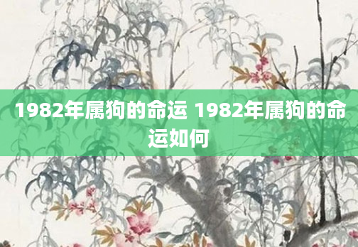 1982年属狗的命运 1982年属狗的命运如何