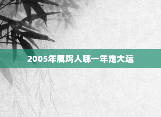 2005年属鸡人哪一年走大运