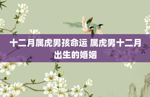 十二月属虎男孩命运 属虎男十二月出生的婚姻