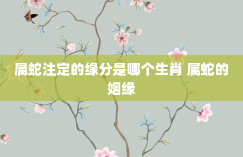 属蛇注定的缘分是哪个生肖 属蛇的姻缘