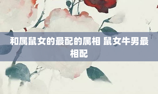 和属鼠女的最配的属相 鼠女牛男最相配