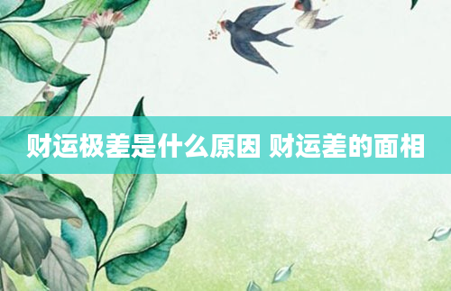 财运极差是什么原因 财运差的面相