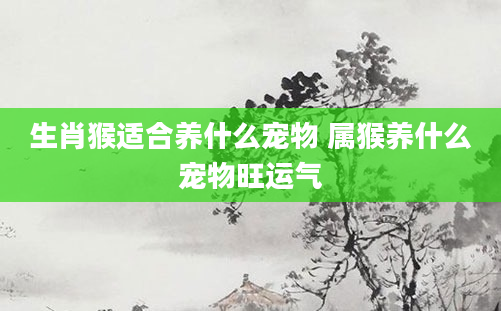 生肖猴适合养什么宠物 属猴养什么宠物旺运气