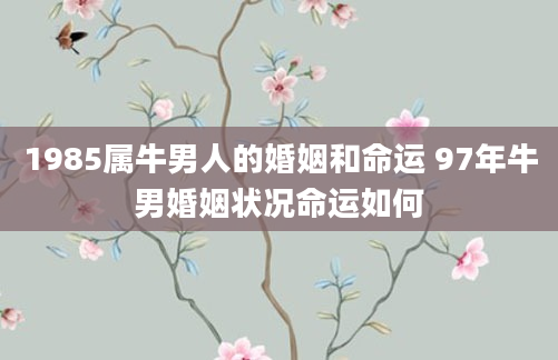 1985属牛男人的婚姻和命运 97年牛男婚姻状况命运如何