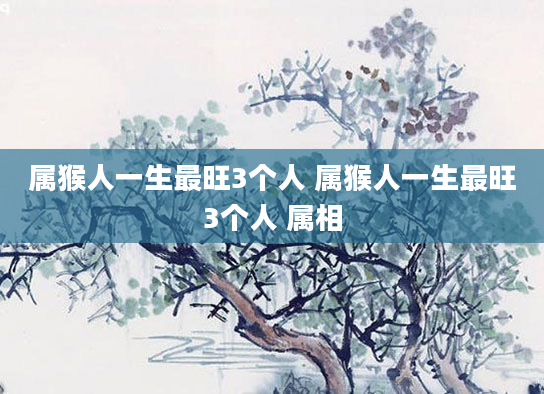 属猴人一生最旺3个人 属猴人一生最旺3个人 属相