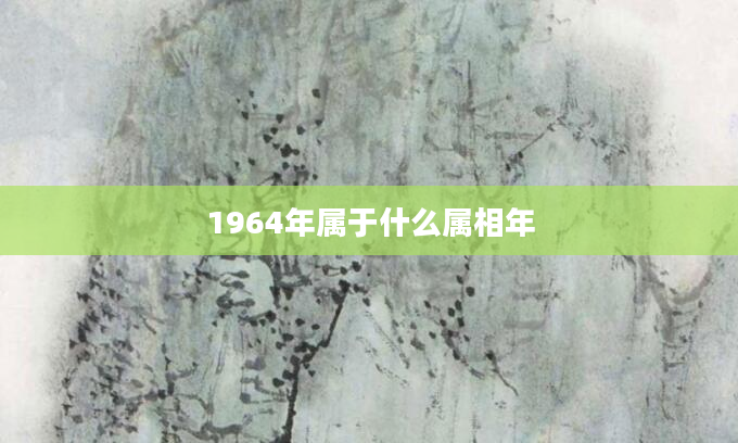1964年属于什么属相年