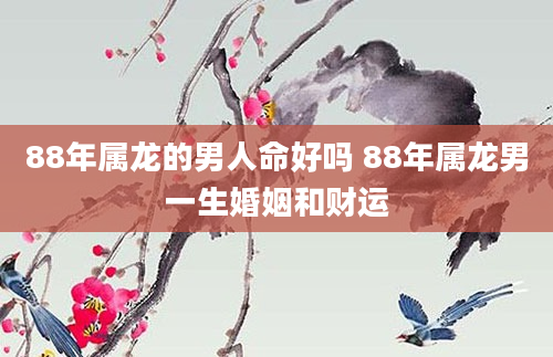 88年属龙的男人命好吗 88年属龙男一生婚姻和财运