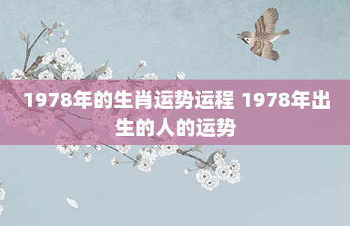 1978年的生肖运势运程 1978年出生的人的运势