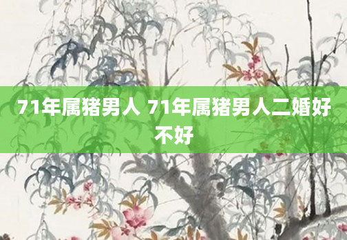71年属猪男人 71年属猪男人二婚好不好