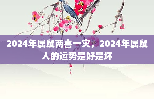 2024年属鼠两喜一灾，2024年属鼠人的运势是好是坏