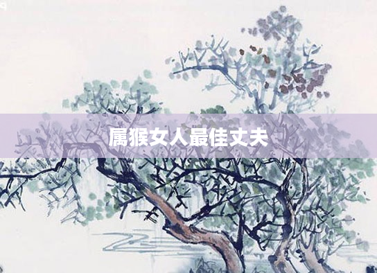 属猴女人最佳丈夫
