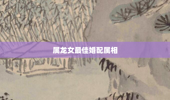 属龙女最佳婚配属相