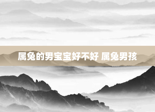 属兔的男宝宝好不好 属兔男孩