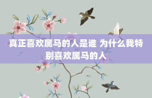 真正喜欢属马的人是谁 为什么我特别喜欢属马的人