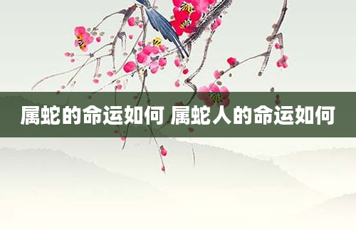 属蛇的命运如何 属蛇人的命运如何