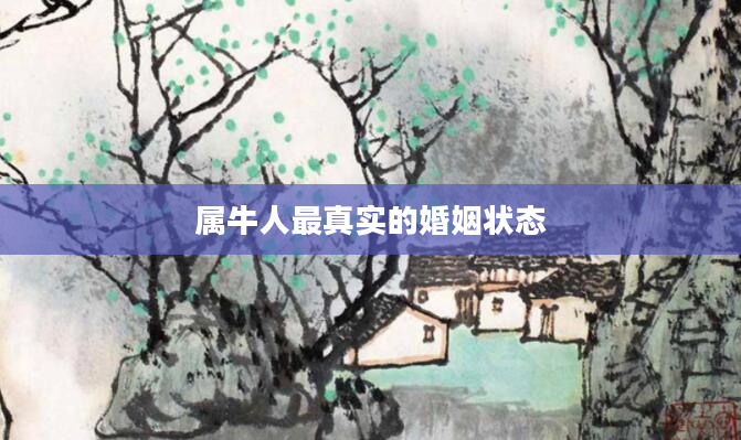 属牛人最真实的婚姻状态