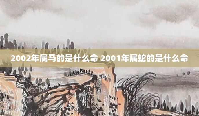 2002年属马的是什么命 2001年属蛇的是什么命