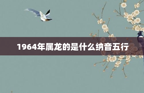 1964年属龙的是什么纳音五行