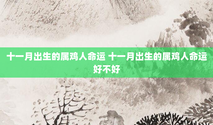 十一月出生的属鸡人命运 十一月出生的属鸡人命运好不好