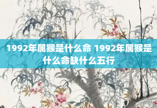 1992年属猴是什么命 1992年属猴是什么命缺什么五行