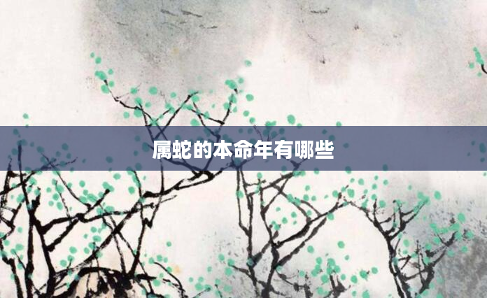 属蛇的本命年有哪些