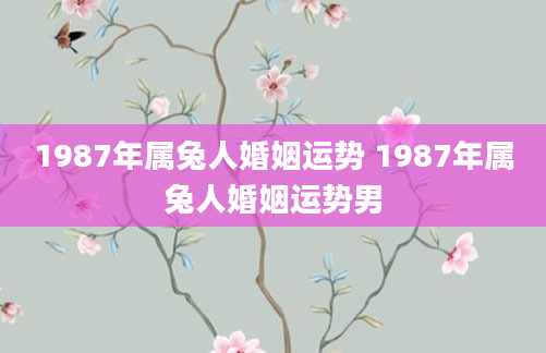 1987年属兔人婚姻运势 1987年属兔人婚姻运势男
