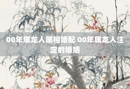 00年属龙人属相婚配 00年属龙人注定的婚姻