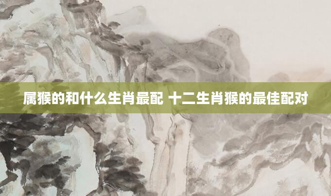 属猴的和什么生肖最配 十二生肖猴的最佳配对