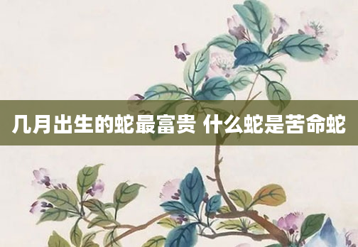几月出生的蛇最富贵 什么蛇是苦命蛇