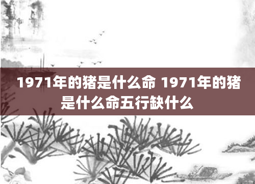 1971年的猪是什么命 1971年的猪是什么命五行缺什么
