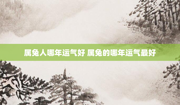 属兔人哪年运气好 属兔的哪年运气最好