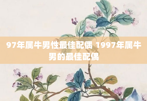 97年属牛男性最佳配偶 1997年属牛男的最佳配偶