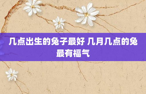 几点出生的兔子最好 几月几点的兔最有福气