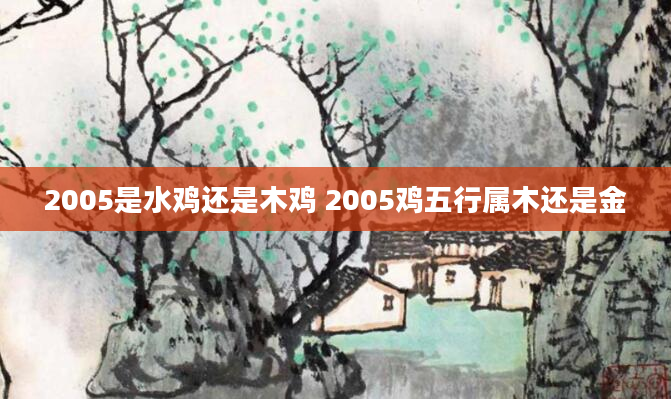 2005是水鸡还是木鸡 2005鸡五行属木还是金
