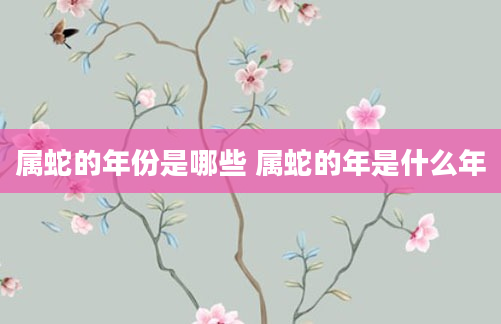 属蛇的年份是哪些 属蛇的年是什么年