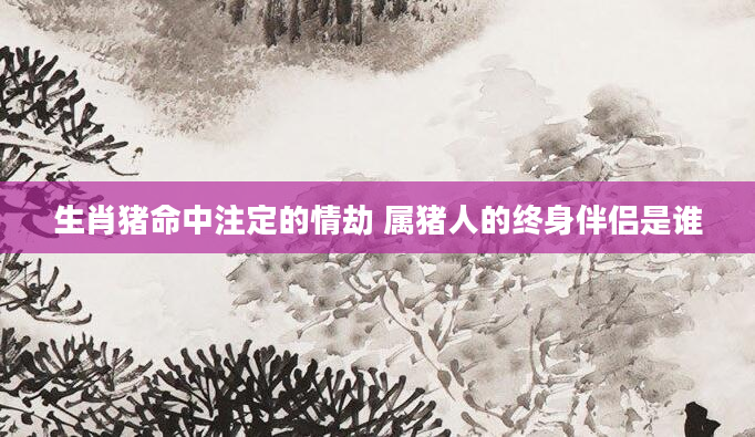 生肖猪命中注定的情劫 属猪人的终身伴侣是谁