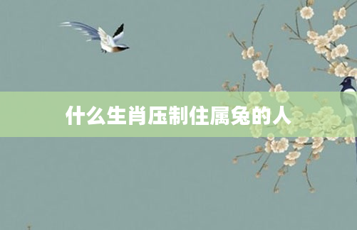 什么生肖压制住属兔的人