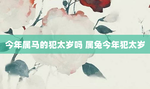 今年属马的犯太岁吗 属兔今年犯太岁