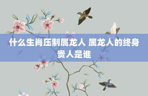 什么生肖压制属龙人 属龙人的终身贵人是谁